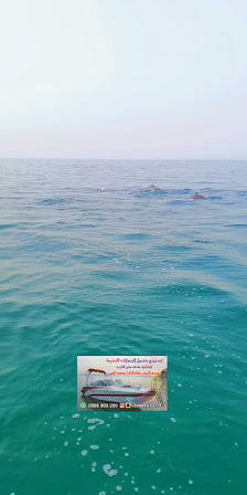 Half Moon Beach thumb 7